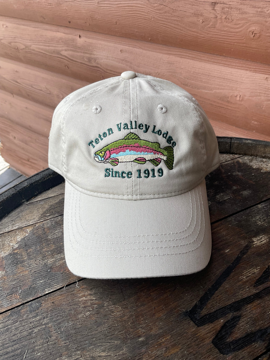 Teton Valley lodge Dad hat