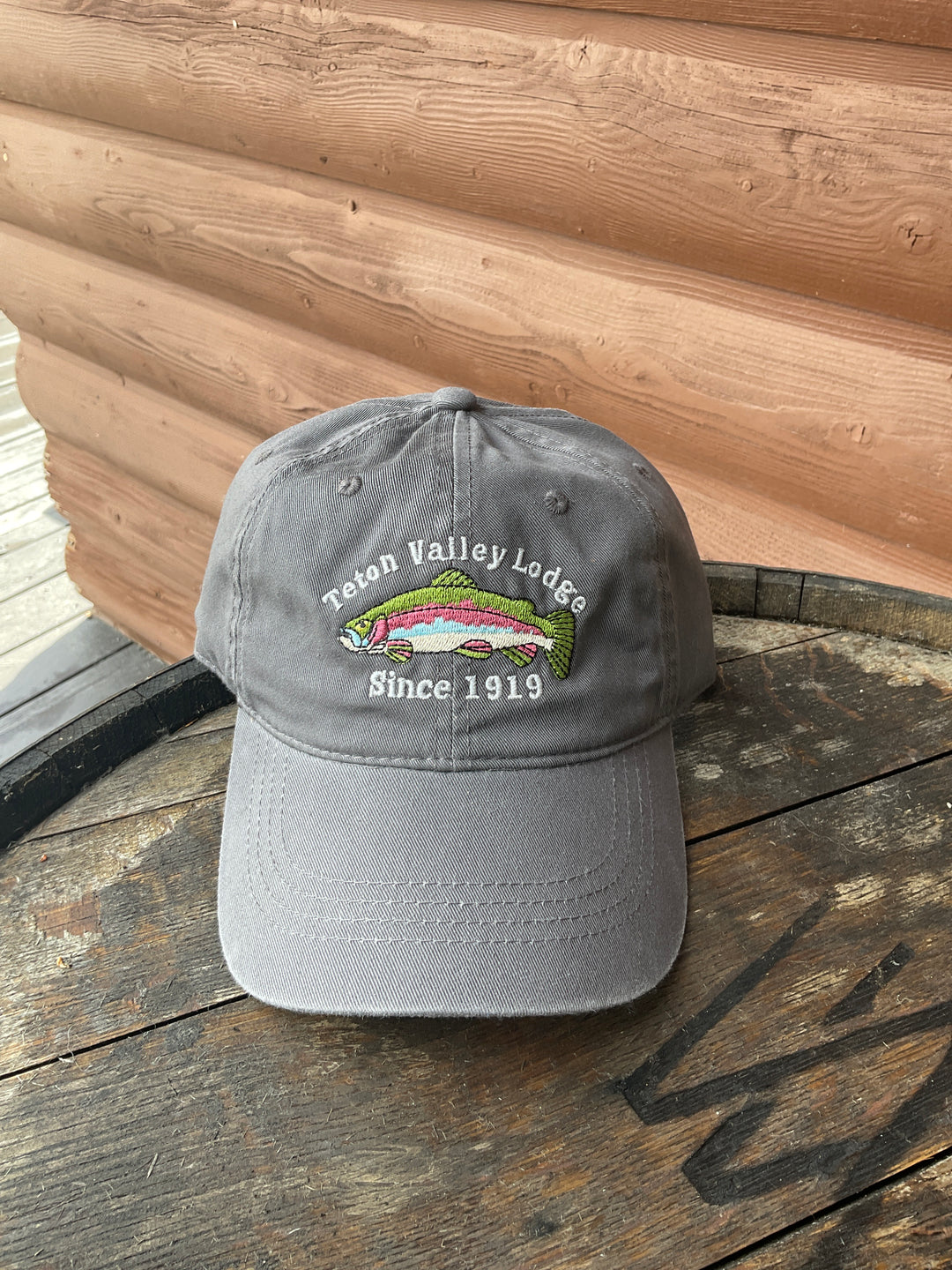 Teton Valley lodge Dad hat