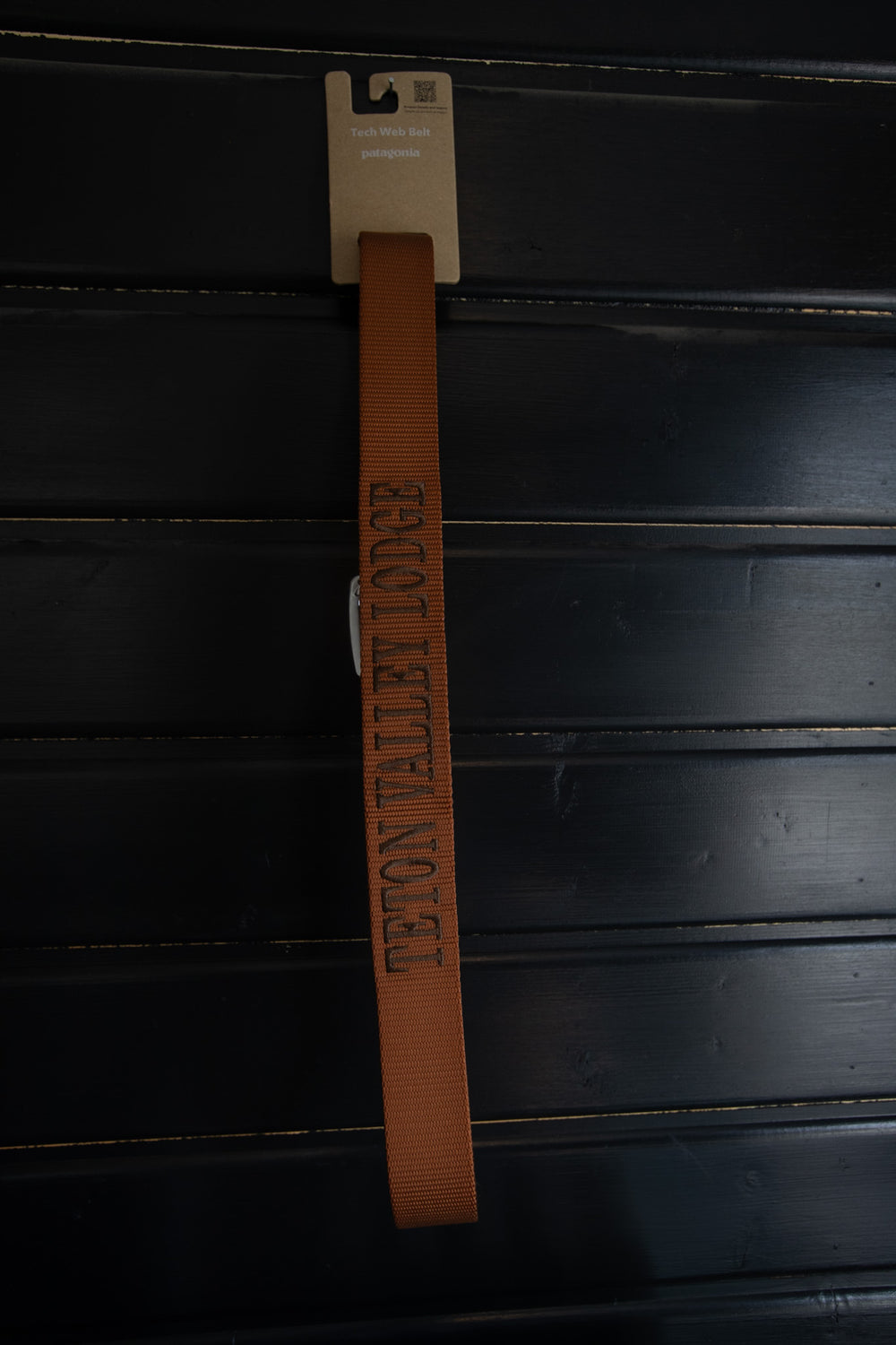 Patagonia Tech Web Belt