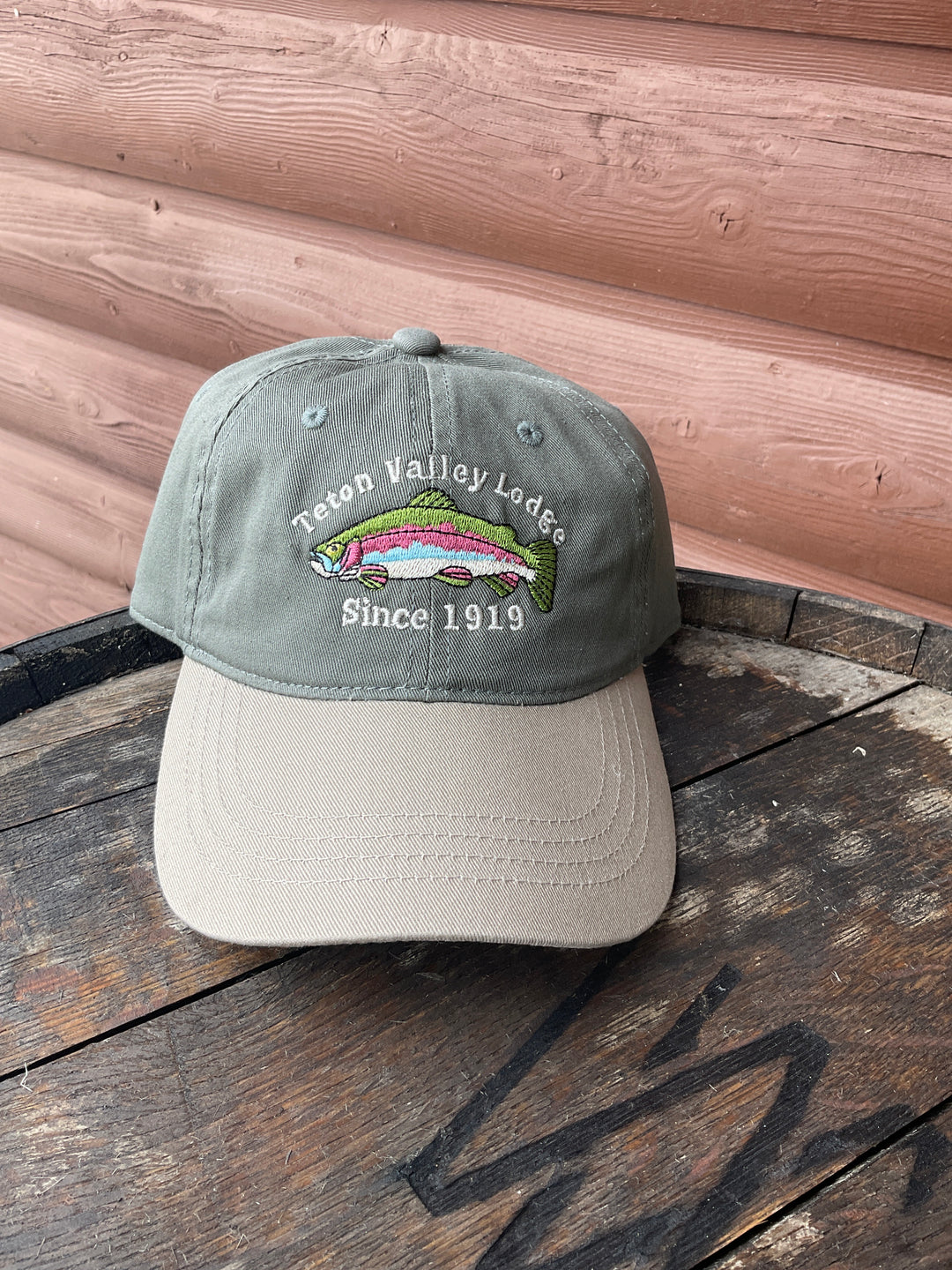 Teton Valley lodge Dad hat