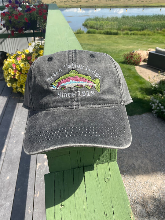Teton Valley lodge Dad hat