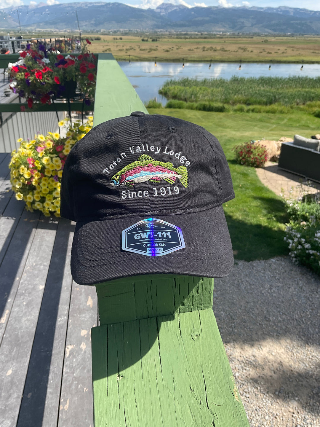 Teton Valley lodge Dad hat