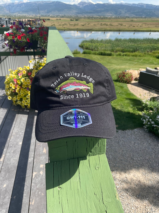 Teton Valley lodge Dad hat